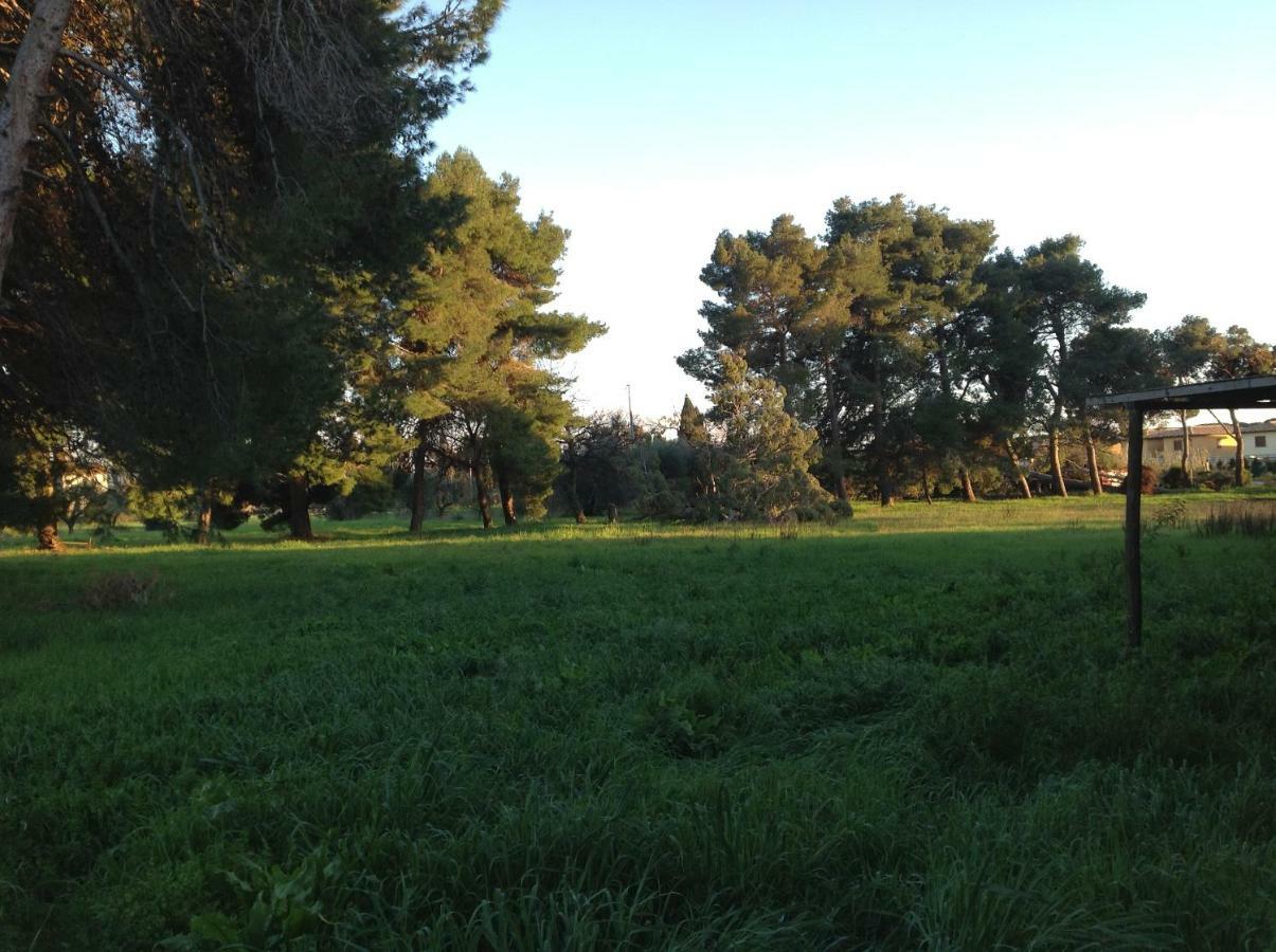 Villa Di Campagna Santa Giulia Carbonifera Exteriér fotografie