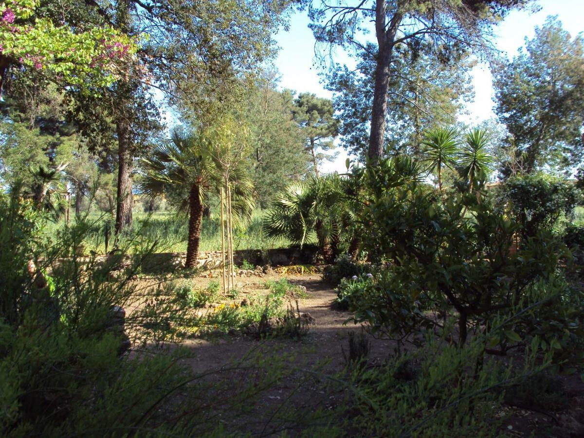 Villa Di Campagna Santa Giulia Carbonifera Exteriér fotografie