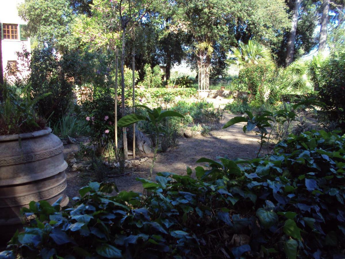 Villa Di Campagna Santa Giulia Carbonifera Exteriér fotografie