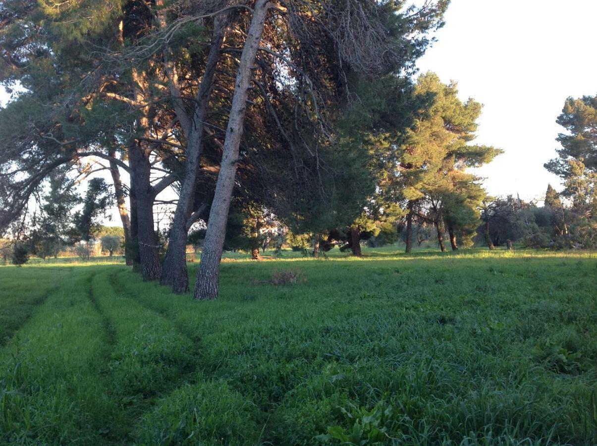 Villa Di Campagna Santa Giulia Carbonifera Exteriér fotografie